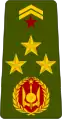 Général de brigade(Djiboutian Army)