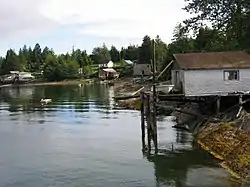 A view of Dodge Cove