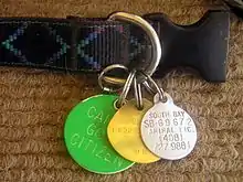 Dog collar with dog license and other dog tags