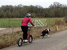 A woman on the Diggler scooter being pulled by a dog, dry land mushing, 2009