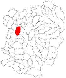 Location in Caraș-Severin County