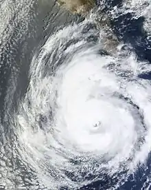 Satellite image of Hurricane Dolores with a large, cloud-filled eye on June 16