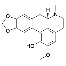 domesticine 2D skeletal