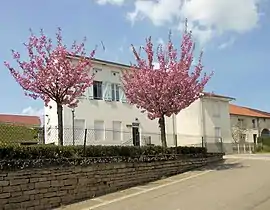 The town hall in Dommartin-sur-Vraine