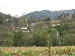 View of Donji Banjani village