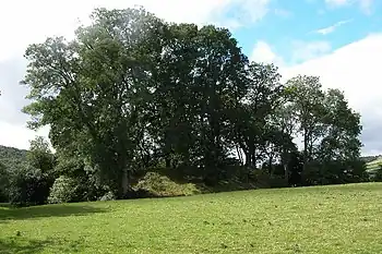 This impressive motte and bailey is thought to date from 11th to 12th centuries