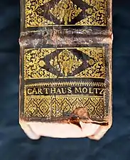 Spine of an antique book, marked CARTHAUS MOLTZ.
