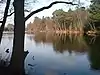 Buchan Hill Ponds