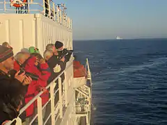 Tourists watch whales in the Drake Passage