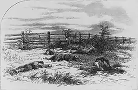 Harper's Weekly drawing of dead soldiers on Antietam battlefield, based on Gardner photograph