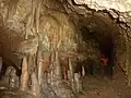 Driny cave