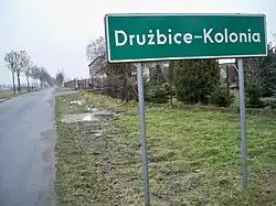 Road to Drużbice-Kolonia