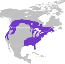 The range includes the United States, east of the Mississippi river, most of lower of Canada, extending up into the Northern Rocky Mountains, and down the Pacific Coast into central California