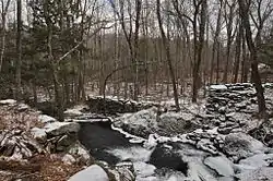 Moore Farm and Twitchell Mill Site