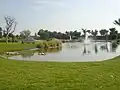 Near golf course, Dhahran Hills