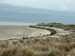 Duinen van Texel