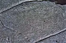 Boar carving in rock near top of the hill fort.