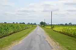 Cornfields along Dunn Road by the Henry County line