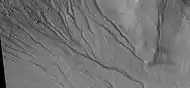 Close-up of gully network showing branched channels and curves; these characteristics suggest creation by a fluid.  Note: this is an enlargement of a previous wide view of gullies in a crater, as seen by HiRISE under HiWish program.  Location is Eridania quadrangle.