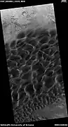 Wide view of dunes in Moreux Crater, as seen by HiRISE under HiWish program