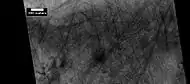 Dust devil tracks,  as seen by HiRISE under HiWish program. Location is Casius quadrangle.