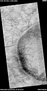 Wide view of dust devil tracks, as seen by HiRISE under HiWish program