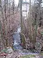 An Eagle Creek tributary south of Birkdale Pl