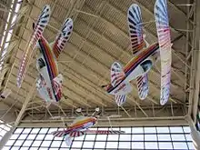 Eagles Aerobatic Team aircraft, flown by Tom Poberezny, Charlie Hillard and Gene Soucy, on display in the museum's entrance