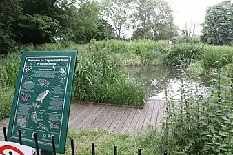 wildlife pond
