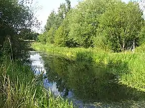 Greasbrough canal below the A633 culvert