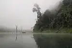 Kayaking on Cheow Lan Lake