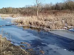 The East Humber River