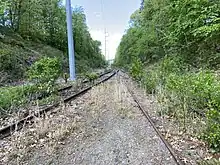 Railroad tracks, overgrown by vegetation and clearly abandoned.
