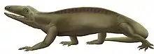 life reconstruction of Echinerpeton intermedium