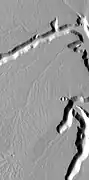 Dendritic channels on mesa of Echus Chasma. Image is 20 miles wide. Image is in Coprates quadrangle.