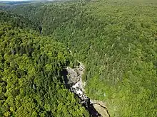 A photograph of a river and a waterfall, running through a deep V-shaped valley surrounded by a forest. The higher elevations feature hardwoods, while the valley sides have softwoods.