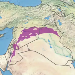 Ecoregion territory (in purple)