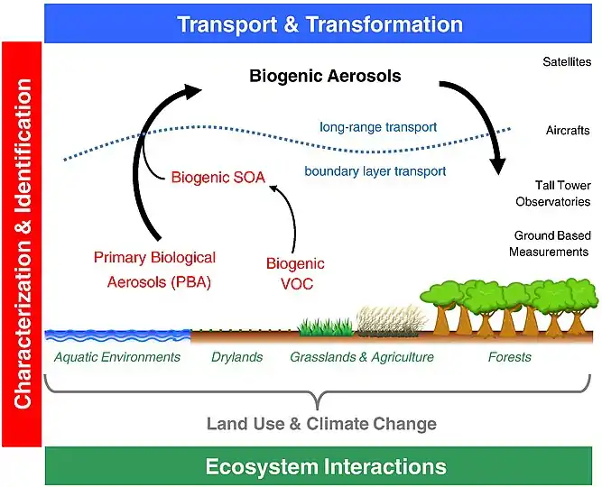 Global ecosystem interactions of bioaerosol particles Key aspects and areas of research required to determine and quantify the interactions and effects of biogenic aerosol particles in the Earth system, including primary biological aerosols directly emitted to the atmosphere and secondary organic aerosols formed upon oxidation and gas-to-particle conversion of volatile organic compounds.