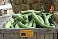 Serpentine snake gourds in Media, Pennsylvania, United States