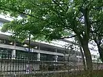 University of Edinburgh, Main Library