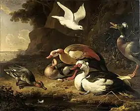 Ducks (ca. 1675-80), oil on canvas, 93 x 116 cm., Rijksmuseum