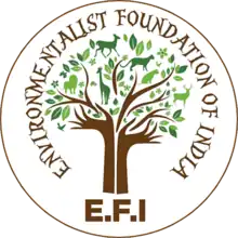 E.F.I Logo