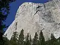 El Capitan's 'Wall of Early Morning Light': the 1970 Harding/Caldwell route goes up the tallest section of the cliff where it is continuously vertical or overhanging for the entire passage - the general line going straight up just slightly left of the left most grey waterstreak on the rim of El Capitan.