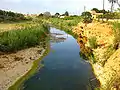 The river Girona at the height of El Verger.