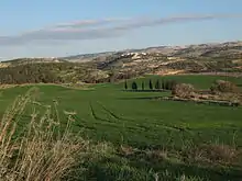 The Valley of Elah, near Adullam