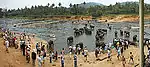 Tourists observing elephants bathing in Oya River