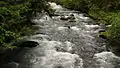 Elwha River