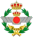 Emblem of the Personnel Command (MAPER)