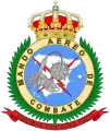Emblem of the Air Combat Command (MACON)