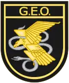 Emblem of the Special Group of Operations (GEO)